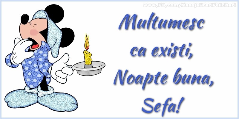 Felicitari de noapte buna pentru Sefa - Multumesc ca existi, Noapte buna, sefa