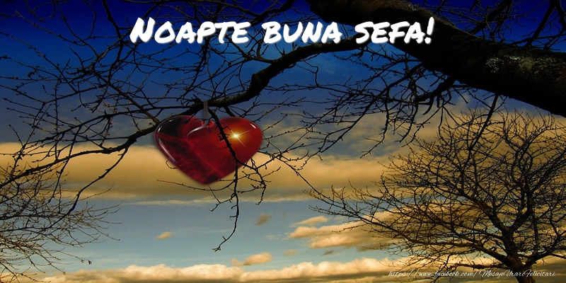 Felicitari de noapte buna pentru Sefa - Noapte buna sefa!