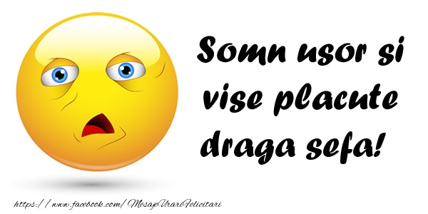 Felicitari de noapte buna pentru Sefa - Somn usor si vise placute draga sefa!