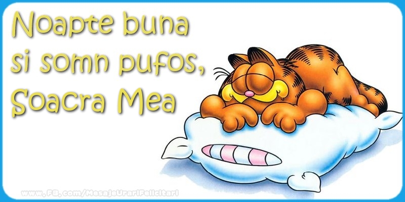Felicitari de noapte buna pentru Soacra - Noapte buna  si somn pufos,soacra mea