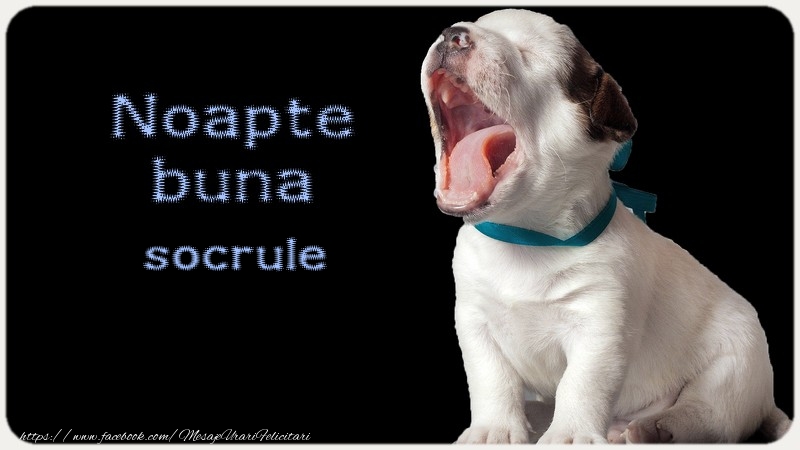 Felicitari de noapte buna pentru Socru - Noapte buna socrule