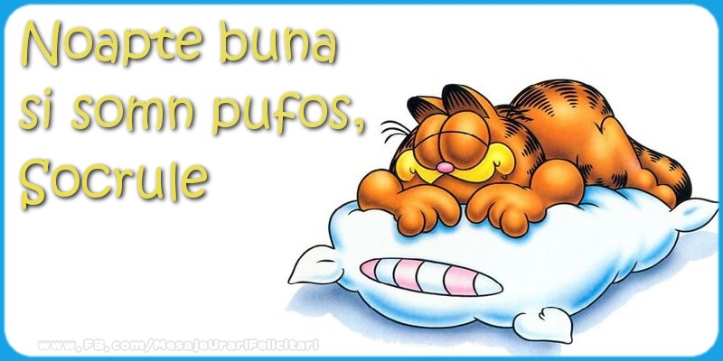 Felicitari de noapte buna pentru Socru - Noapte buna  si somn pufos,socrule
