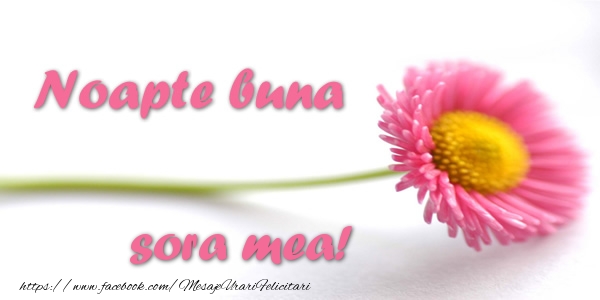 Felicitari de noapte buna pentru Sora - Noapte buna sora mea!