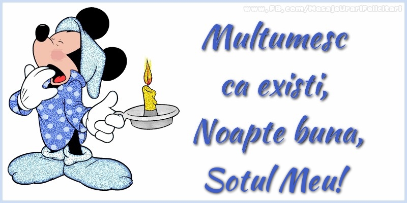 Felicitari de noapte buna pentru Sot - Multumesc ca existi, Noapte buna, sotul meu
