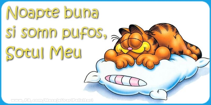 Felicitari de noapte buna pentru Sot - Noapte buna  si somn pufos,sotul meu
