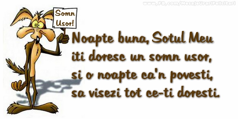 Felicitari de noapte buna pentru Sot - Noapte buna, sotul meu. Iti doresc un somn usor,  si o noapte ca-n povesti,  sa visezi tot ce-ti doresti.