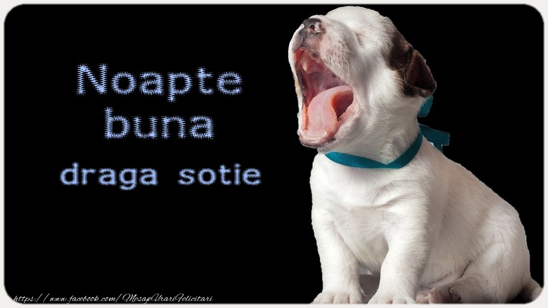 Felicitari de noapte buna pentru Sotie - Noapte buna draga sotie