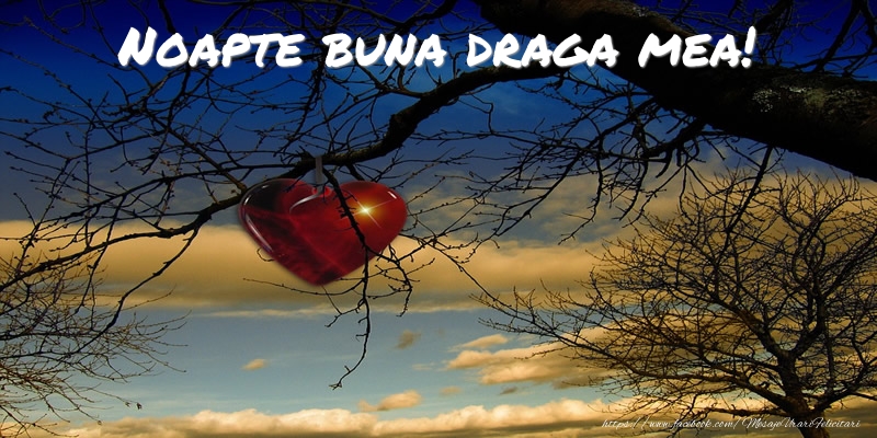 Felicitari de noapte buna pentru Sotie - Noapte buna draga mea!