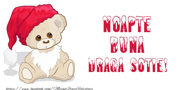 Felicitari de noapte buna pentru Sotie - Noapte buna draga sotie!