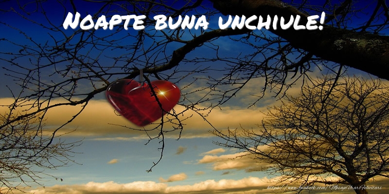 Felicitari de noapte buna pentru Unchi - Noapte buna unchiule!