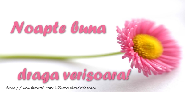 Felicitari de noapte buna pentru Verisoara - Noapte buna draga verisoara!