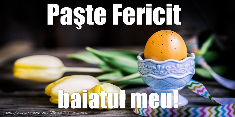 Felicitari de Paste pentru Baiat - Paste Fericit baiatul meu!