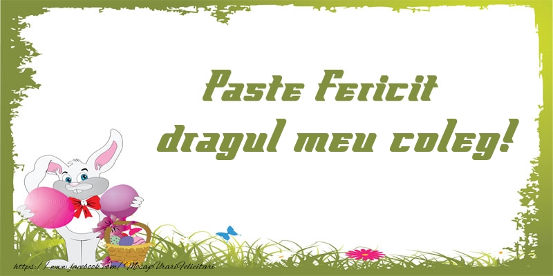 Felicitari de Paste pentru Coleg - Paste Fericit dragul meu coleg!