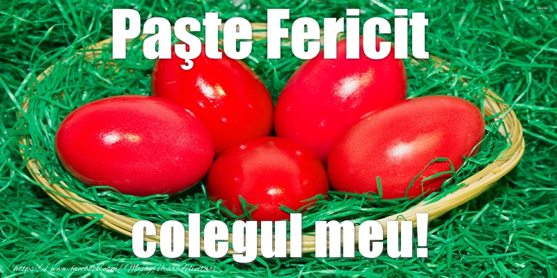 Felicitari de Paste pentru Coleg - Paste Fericit colegul meu!