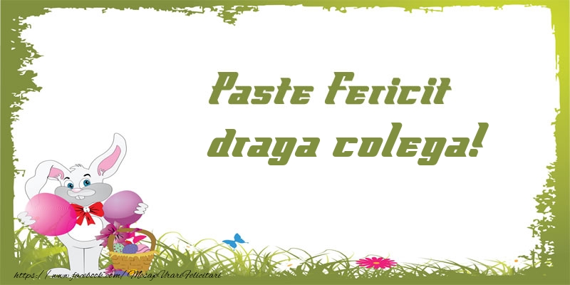Felicitari de Paste pentru Colega - Paste Fericit draga colega!