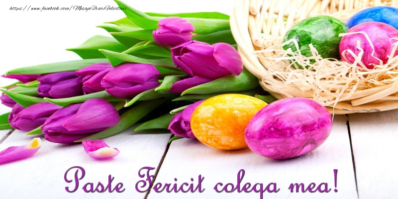 Felicitari de Paste pentru Colega - Paste Fericit colega mea!