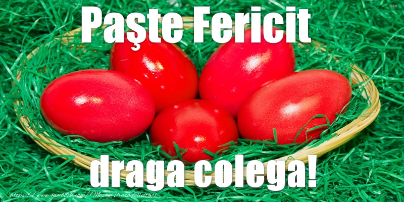 Felicitari de Paste pentru Colega - Paste Fericit draga colega!