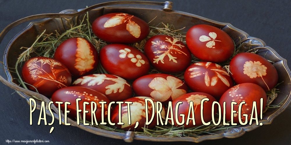 Felicitari de Paste pentru Colega - Paște Fericit, draga colega!