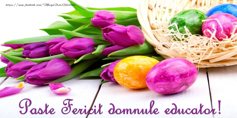 Felicitari de Paste pentru Educator - Paste Fericit domnule educator!