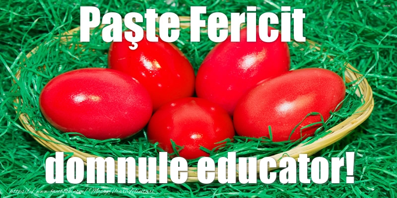 Felicitari de Paste pentru Educator - Paste Fericit domnule educator!