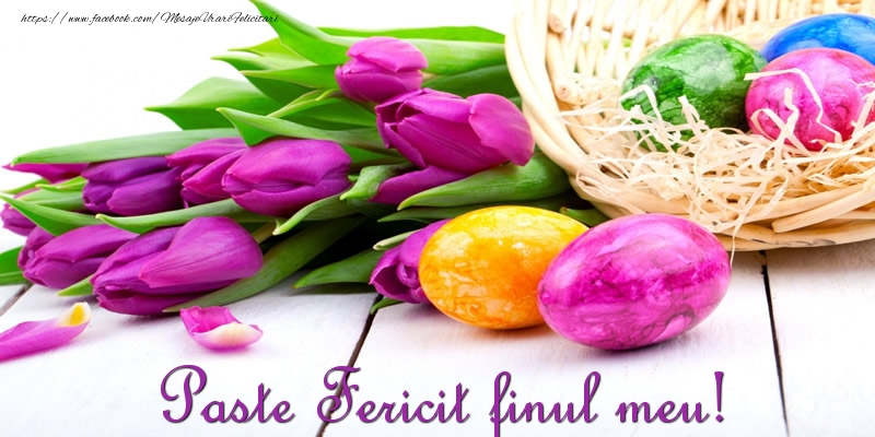 Felicitari de Paste pentru Fin - Paste Fericit finul meu!