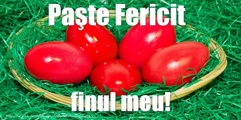 Felicitari de Paste pentru Fin - Paste Fericit finul meu!