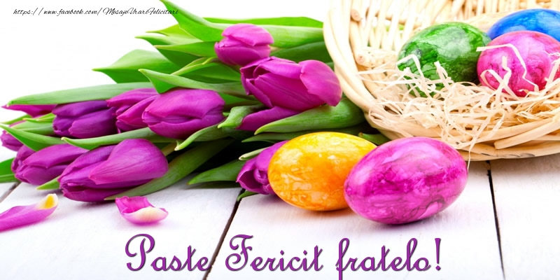 Felicitari de Paste pentru Frate - Paste Fericit fratelo!