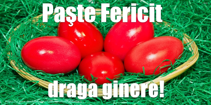 Felicitari de Paste pentru Ginere - Paste Fericit draga ginere!