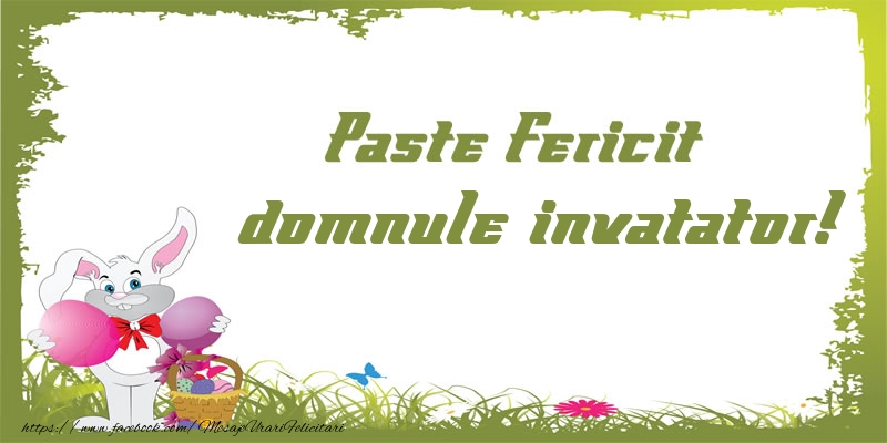 Felicitari de Paste pentru Invatator - Paste Fericit domnule invatator!
