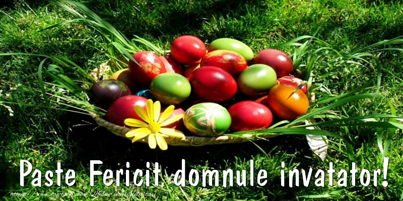 Felicitari de Paste pentru Invatator - Paste Fericit domnule invatator!