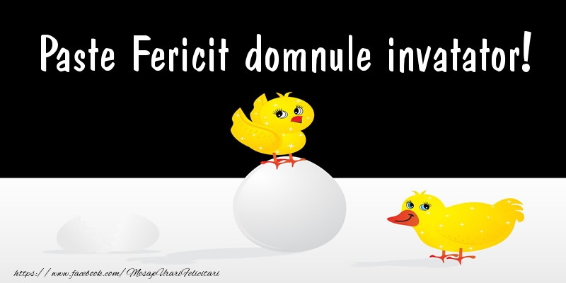 Felicitari de Paste pentru Invatator - Paste Fericit domnule invatator!