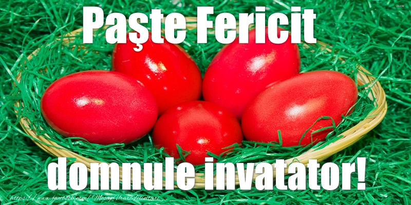 Felicitari de Paste pentru Invatator - Paste Fericit domnule invatator!