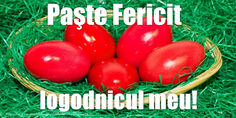 Felicitari de Paste pentru Logodnic - Paste Fericit logodnicul meu!