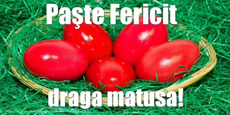 Felicitari de Paste pentru Matusa - Paste Fericit draga matusa!