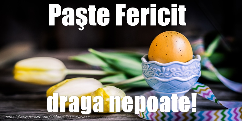 Felicitari de Paste pentru Nepot - Paste Fericit draga nepoate!