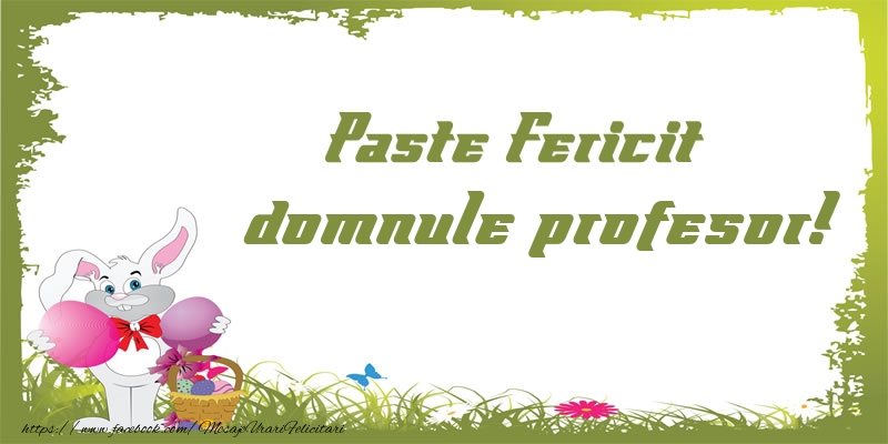 Felicitari de Paste pentru Profesor - Paste Fericit domnule profesor!