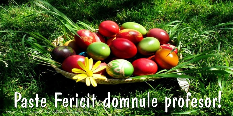 Felicitari de Paste pentru Profesor - Paste Fericit domnule profesor!