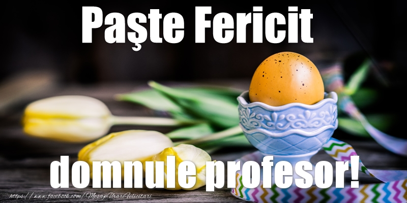 Felicitari de Paste pentru Profesor - Paste Fericit domnule profesor!