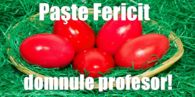 Felicitari de Paste pentru Profesor - Paste Fericit domnule profesor!