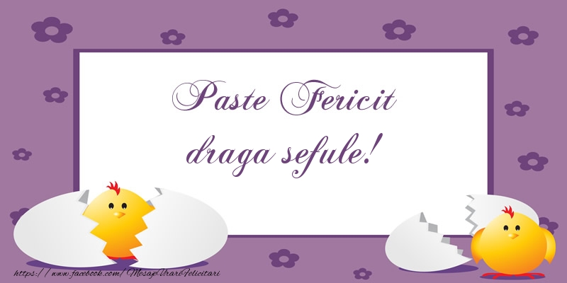 Felicitari de Paste pentru Sef - Paste Fericit draga sefule!