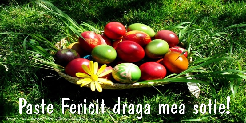 Felicitari de Paste pentru Sotie - Paste Fericit draga mea sotie!