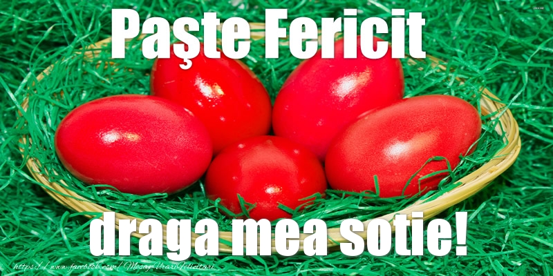 Felicitari de Paste pentru Sotie - Paste Fericit draga mea sotie!
