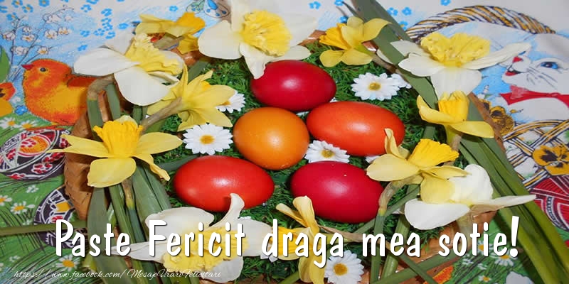 Felicitari de Paste pentru Sotie - Paste Fericit draga mea sotie!