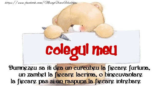 Felicitari de prietenie pentru Coleg - Mesaj pentru prieteni! colegul meu