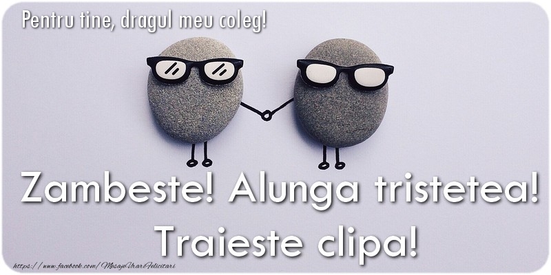 Felicitari de prietenie pentru Coleg - Zambeste! Alunga tristetea!  Traieste clipa! dragul meu coleg