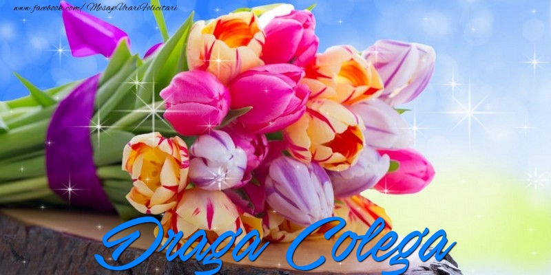 Felicitari de prietenie pentru Colega - Draga colega