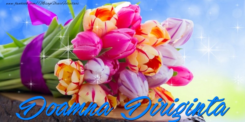 Felicitari de prietenie pentru Diriginta - Doamna diriginta