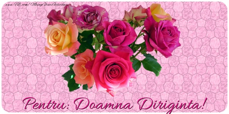 Felicitari de prietenie pentru Diriginta - Pentru doamna diriginta