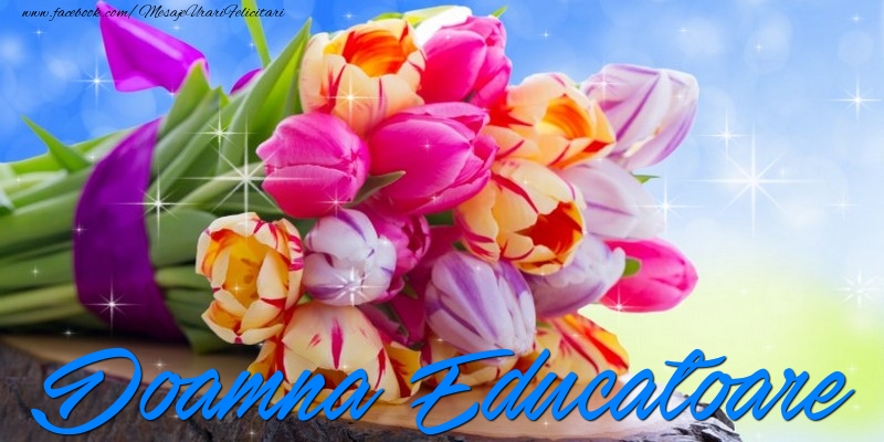 Felicitari de prietenie pentru Educatoare - Doamna educatoare