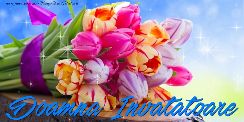 Felicitari de prietenie pentru Invatatoare - Doamna invatatoare